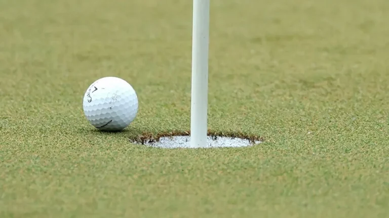Ilustración de un campo de golf con árboles talados y un cartel de obra parada al fondo