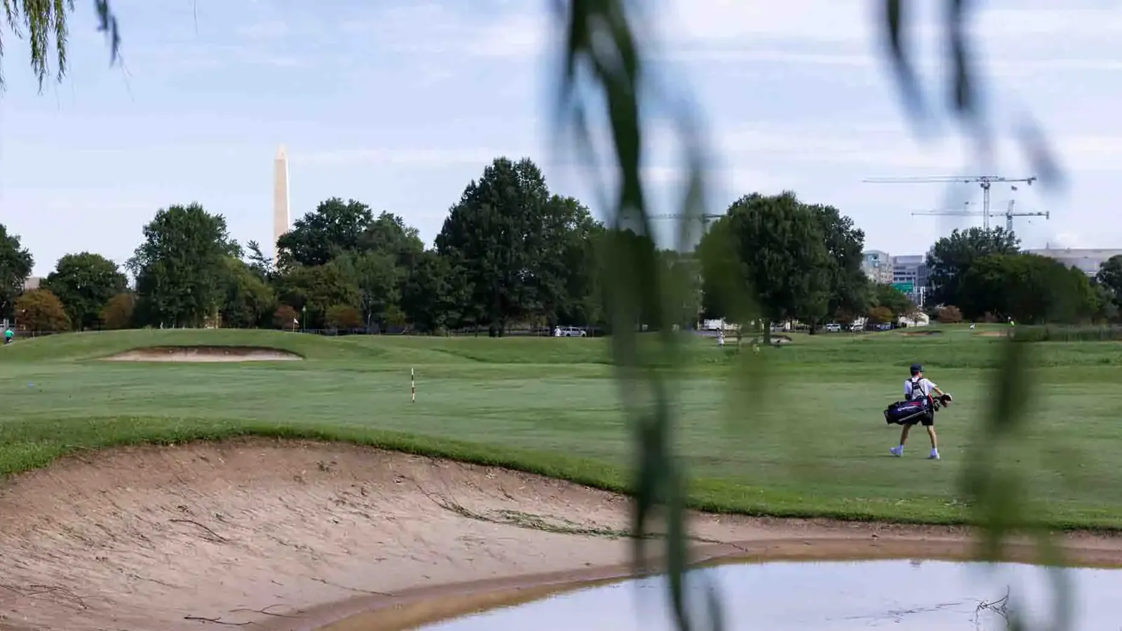 Ilustración de un campo de golf público con árboles talados y una maqueta de obras al fondo