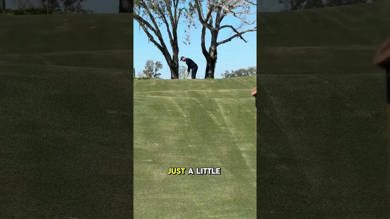 Golfista con gorra y ropa oscura inclinado junto a un green en pendiente, con dos árboles grandes y cielo azul de fondo